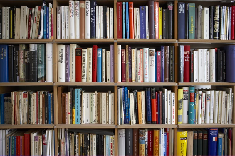 a photo of books on shelves